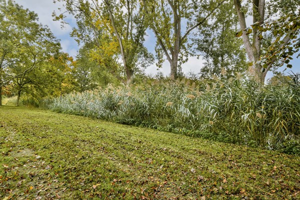 Medium property photo - Moddermanstraat 96, 2313 GT Leiden